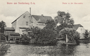 Senftenberg